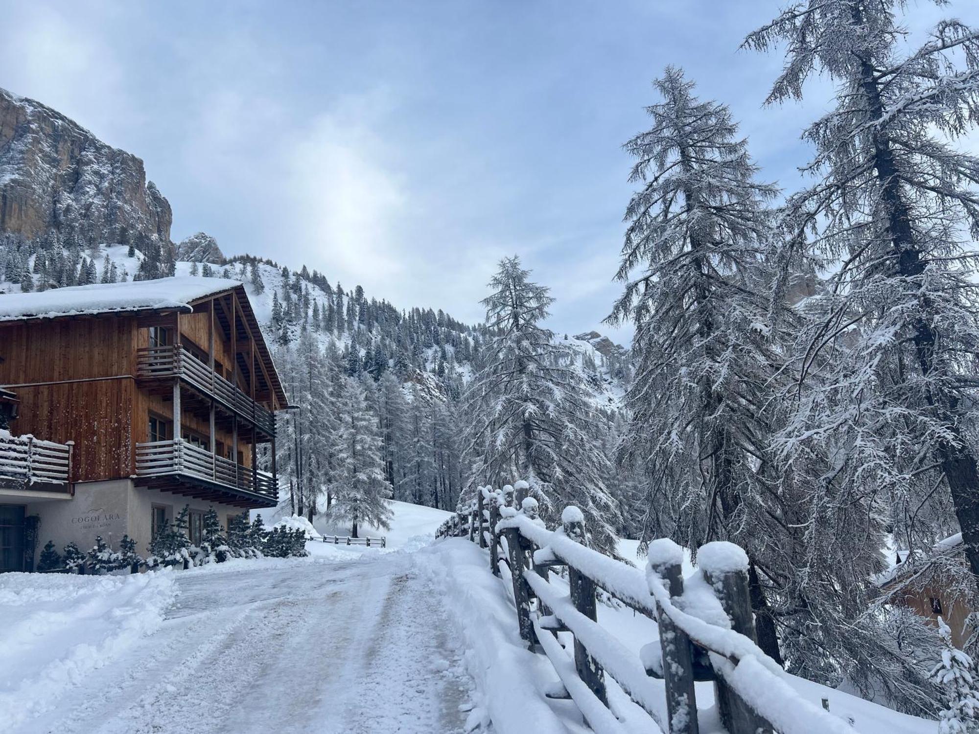 Chalet Cogolara 科尔福索 外观 照片